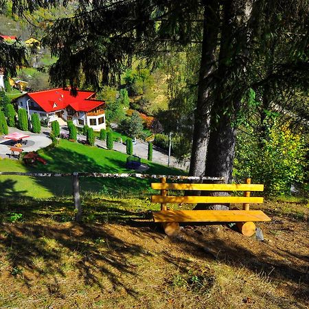 Pensiunea Eladi Borşa Exterior foto