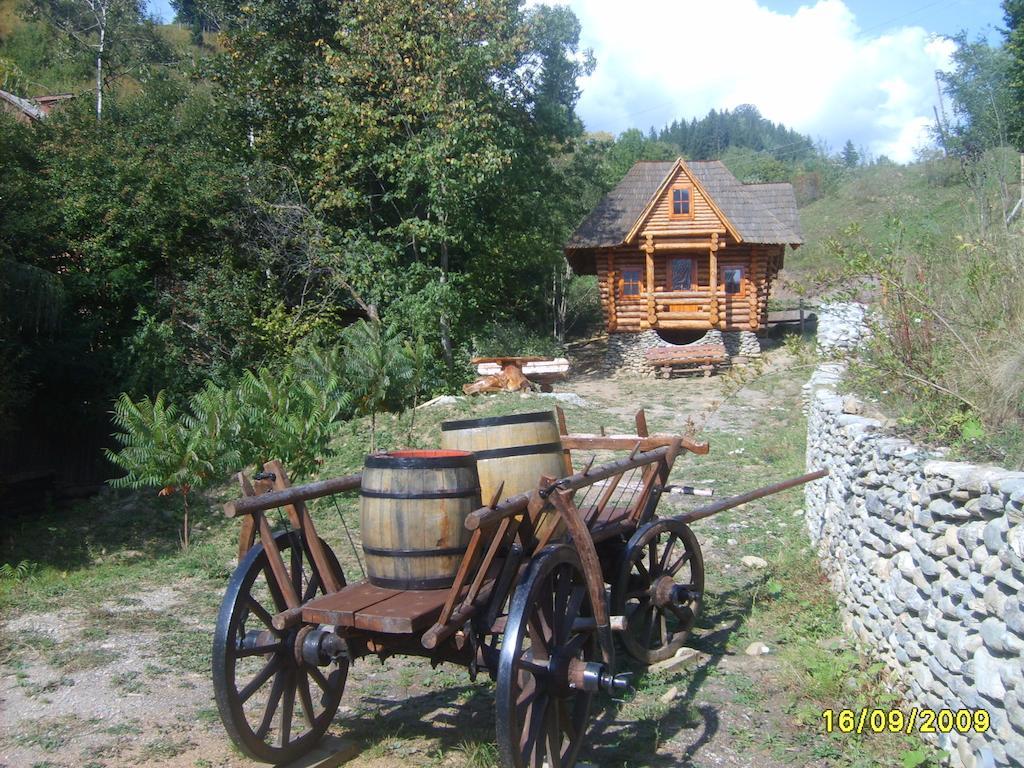 Pensiunea Eladi Borşa Exterior foto