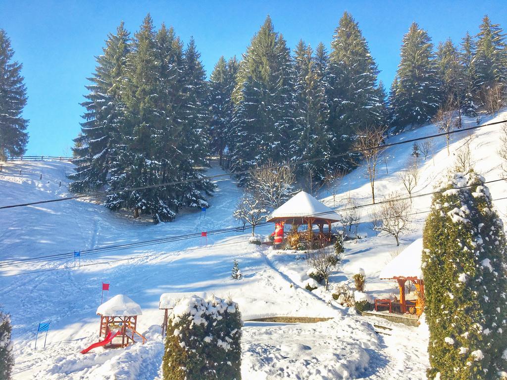 Pensiunea Eladi Borşa Exterior foto