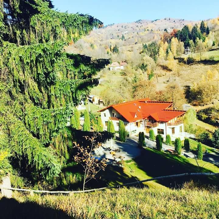 Pensiunea Eladi Borşa Exterior foto