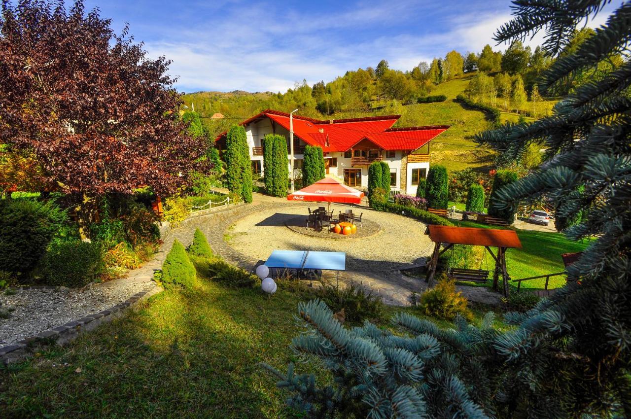 Pensiunea Eladi Borşa Exterior foto
