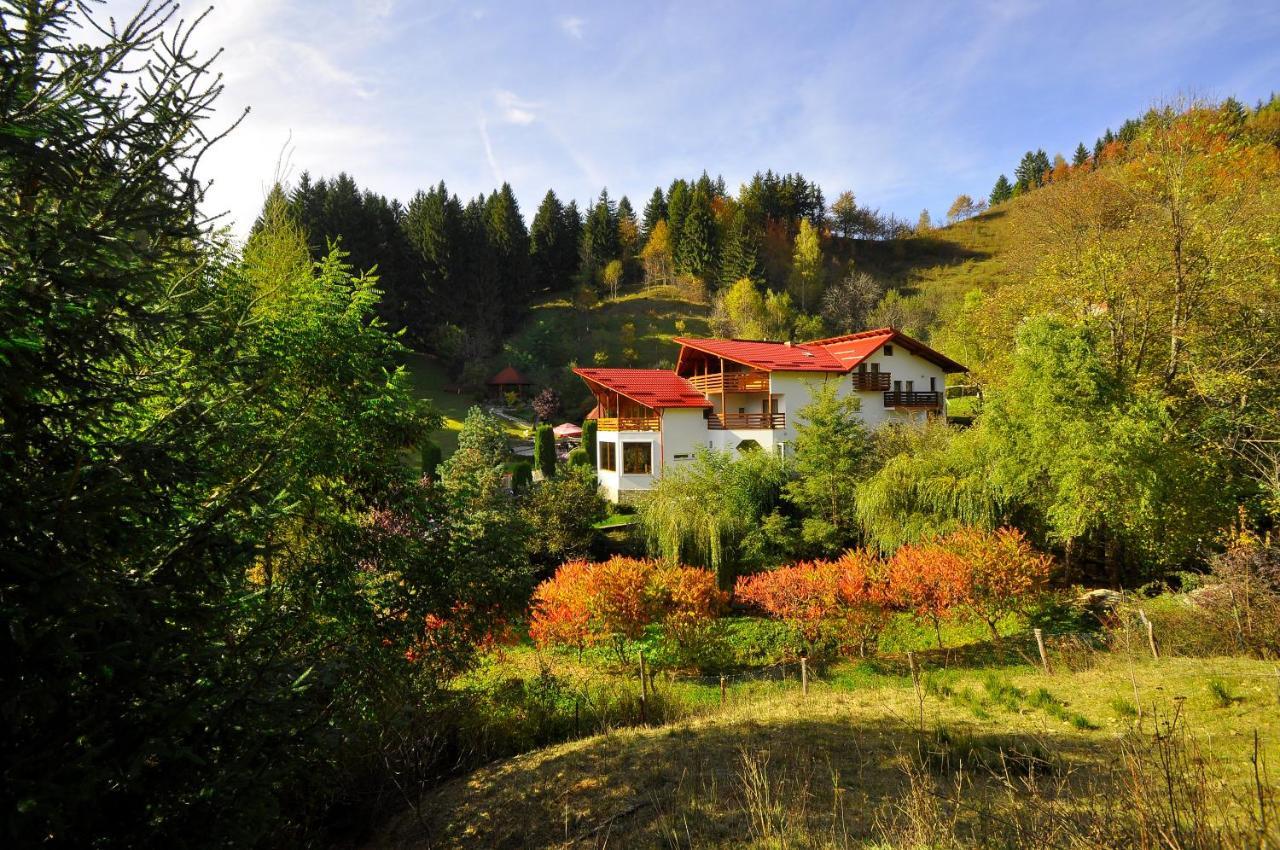 Pensiunea Eladi Borşa Exterior foto