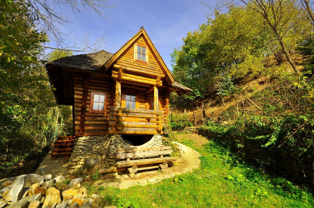 Pensiunea Eladi Borşa Exterior foto