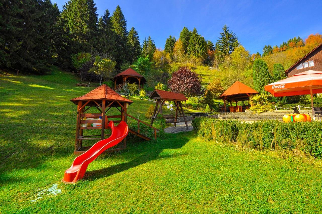 Pensiunea Eladi Borşa Exterior foto